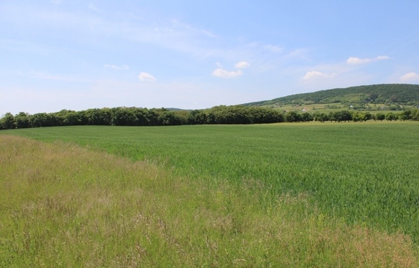 Tagyon Eladó Mezőgazdasági külterület