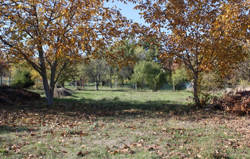 Balatonalmádi Eladó Telek