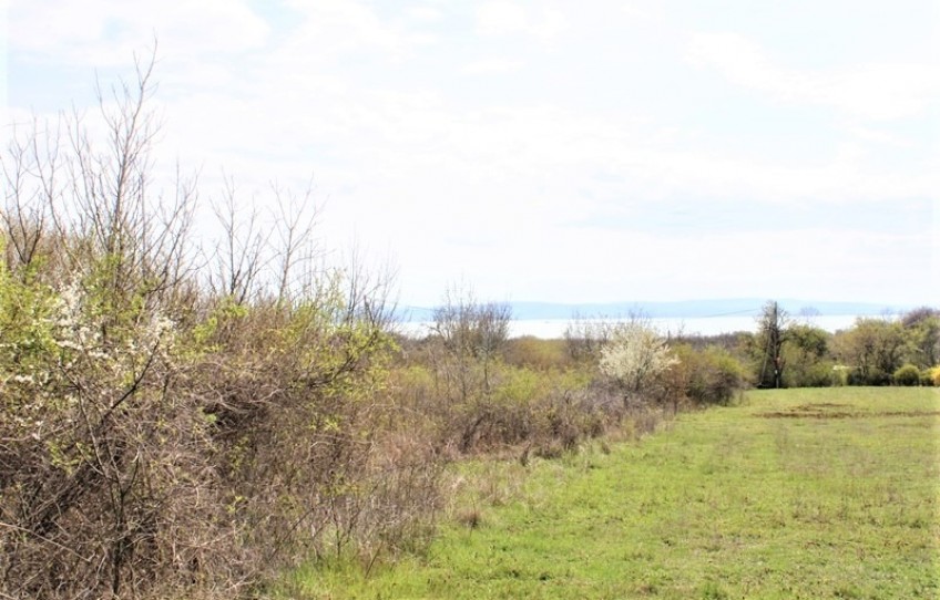 Balatonakali Eladó Telek Fenyehegy külterület