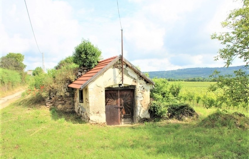 Tagyon Eladó Mezőgazdasági külterület