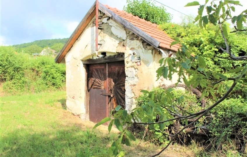 Tagyon Eladó Mezőgazdasági külterület