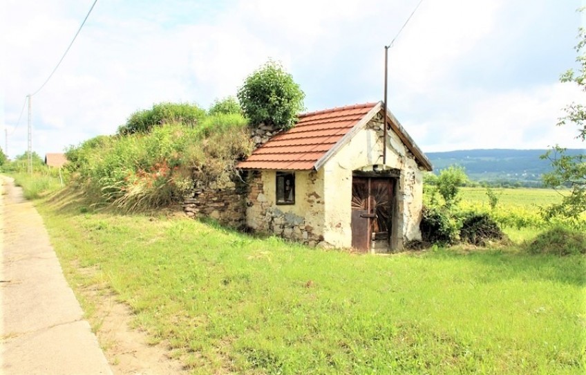 Tagyon Eladó Mezőgazdasági külterület