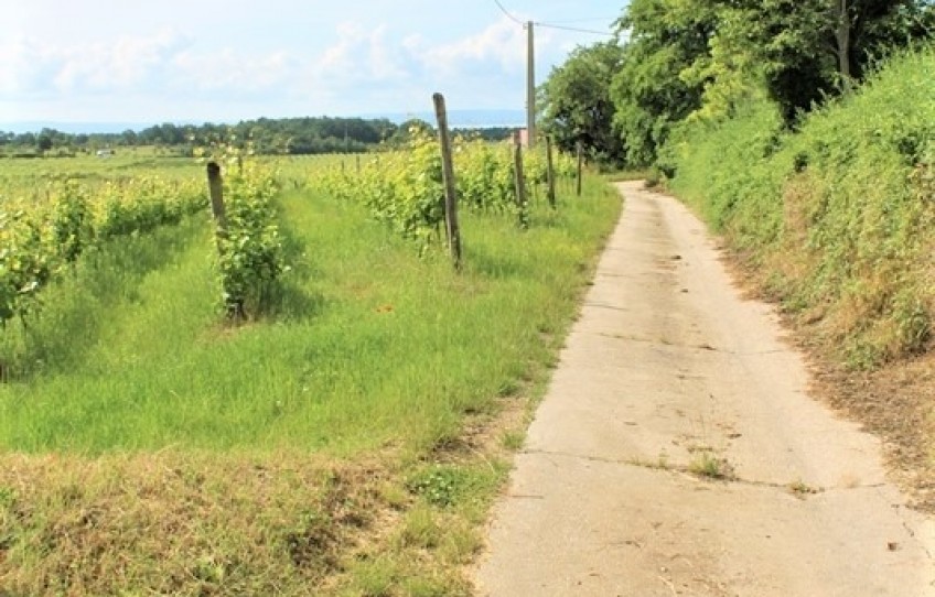 Tagyon Eladó Mezőgazdasági külterület