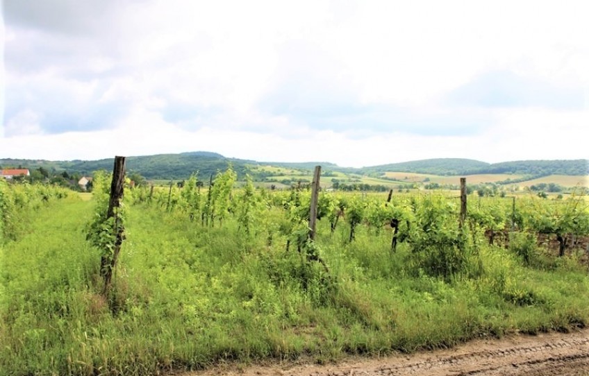 Balatoncsicsó Eladó Telek külterület