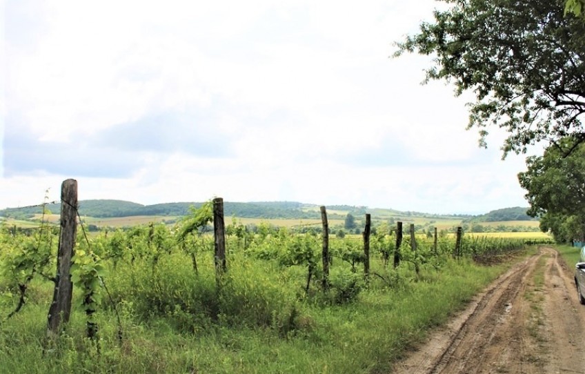 Balatoncsicsó Eladó Telek külterület