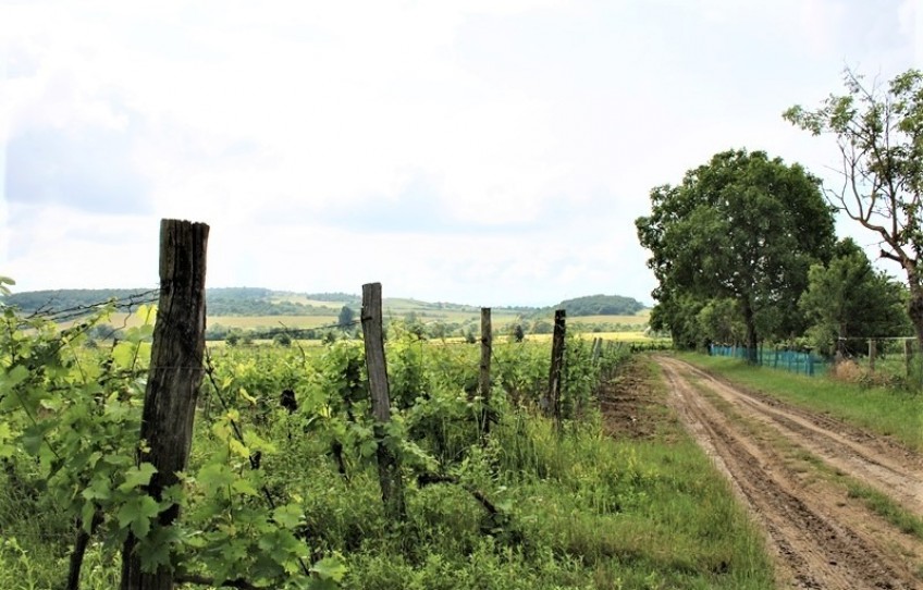 Balatoncsicsó Eladó Telek külterület