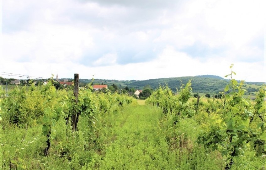 Balatoncsicsó Eladó Telek Külterület