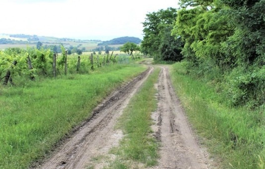 Balatoncsicsó Eladó Telek Külterület