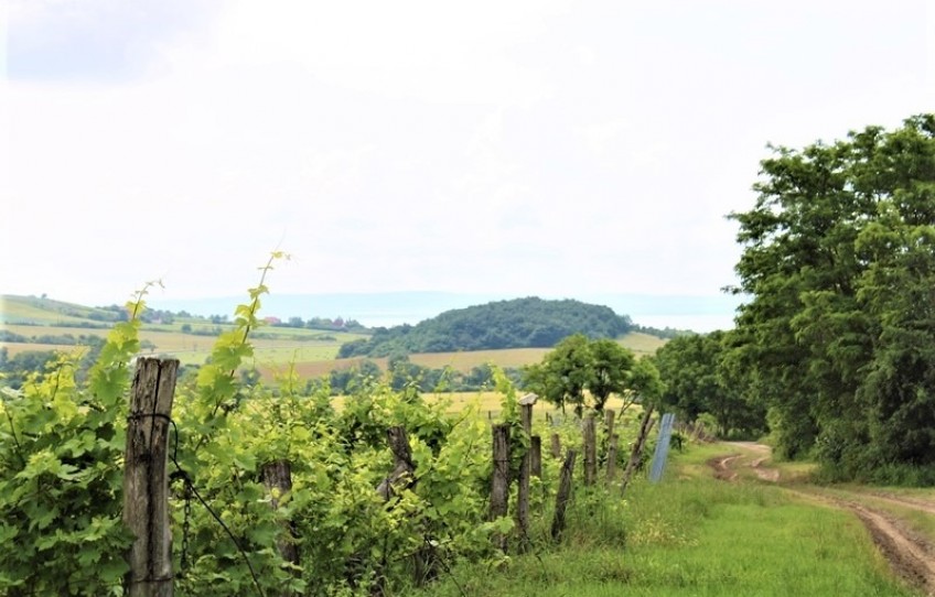 Balatoncsicsó Eladó Telek Külterület