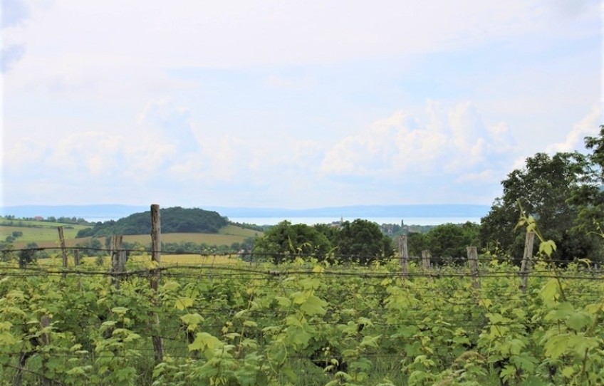 Balatoncsicsó Eladó Telek Külterület