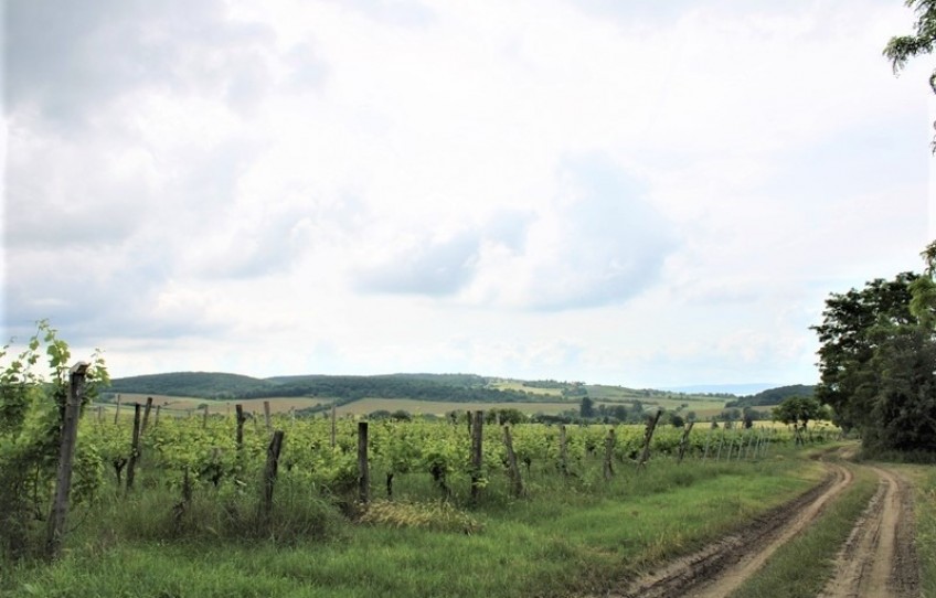 Balatoncsicsó Eladó Telek Külterület