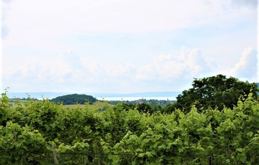 Balatoncsicsó Eladó Telek Külterület