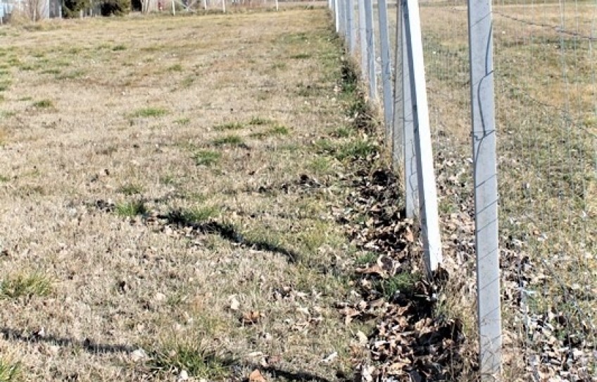 Balatonrendes Eladó Telek Gyöngyvirág utca