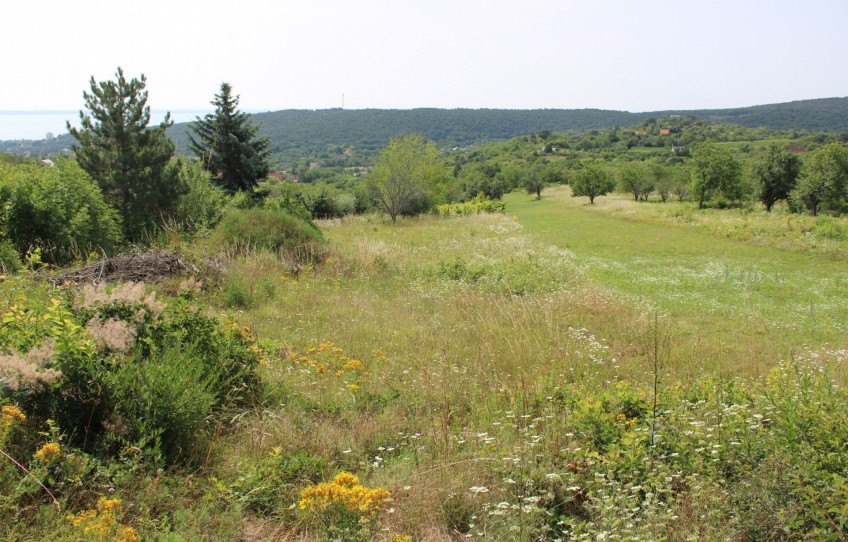 Balatonalmádi Eladó Mezőgazdasági