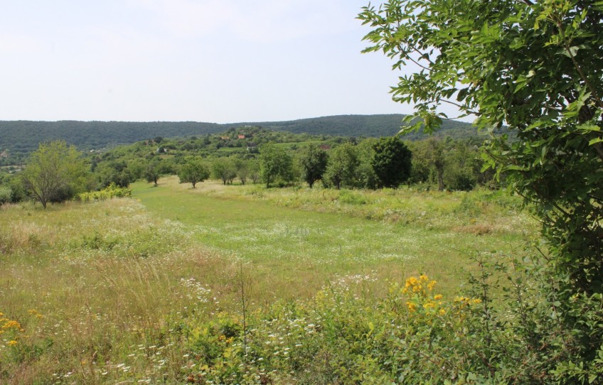 Balatonalmádi Eladó Mezőgazdasági