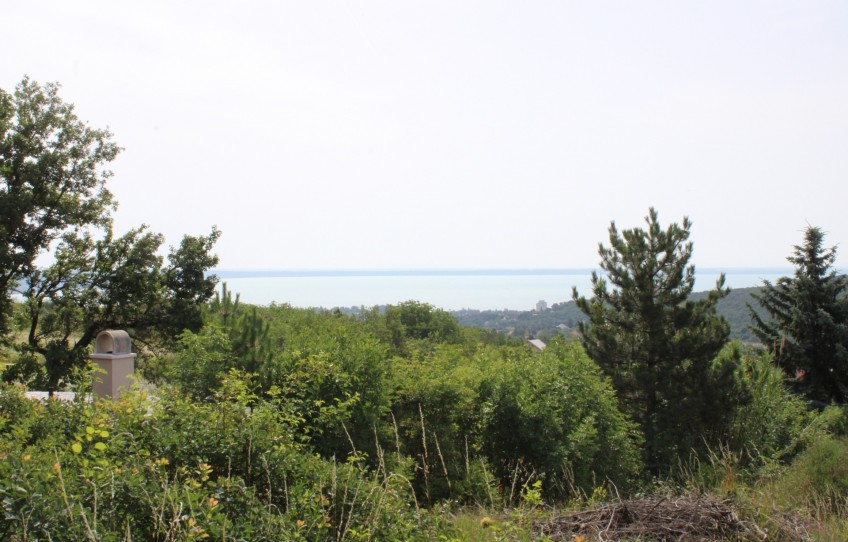 Balatonalmádi Eladó Mezőgazdasági