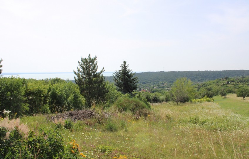 Balatonalmádi Eladó Mezőgazdasági