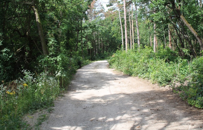 Balatonalmádi Eladó Mezőgazdasági