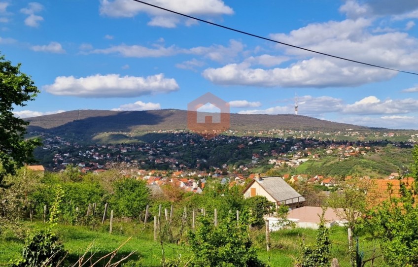 Pécs Eladó Ház Sáska dűlő