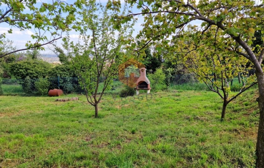Pécs Eladó Ház Sáska dűlő