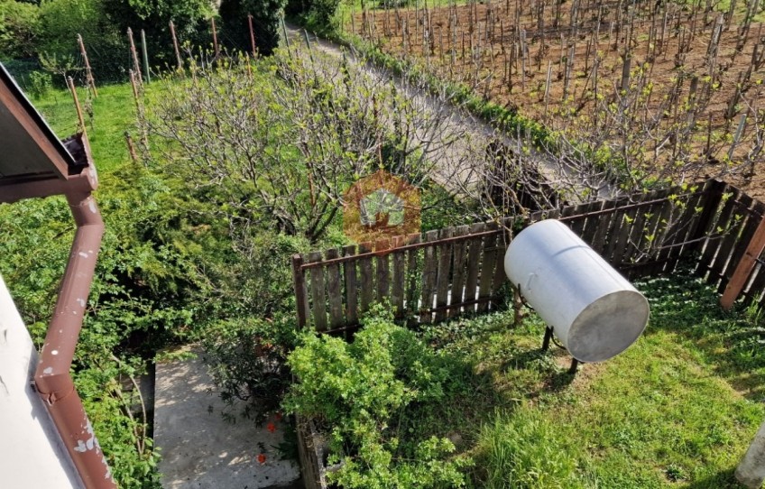 Pécs Eladó Ház Sáska dűlő