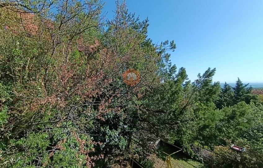 Pécs Eladó Ház Erdész utca