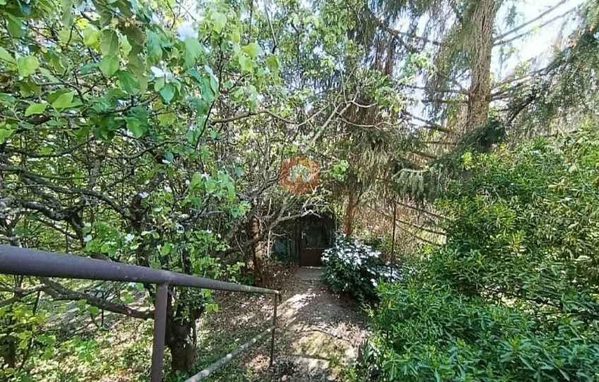 Pécs Eladó Ház Erdész utca