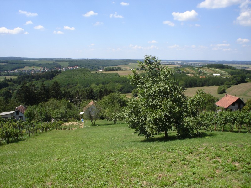 Zalaegerszeg Eladó Mezőgazdasági