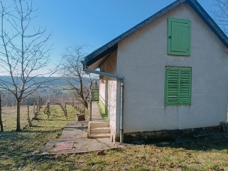 Alsónemesapáti Eladó Mezőgazdasági Öreg hegy