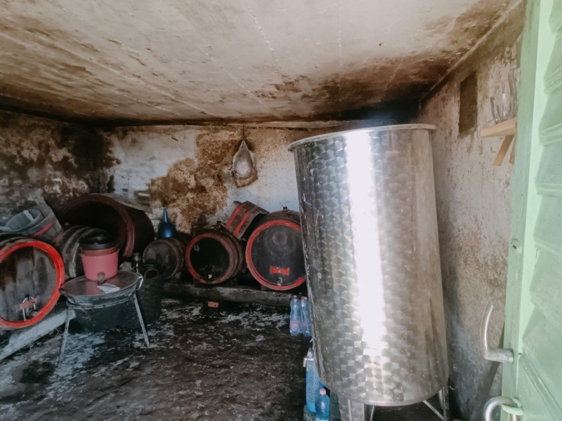 Alsónemesapáti Eladó Mezőgazdasági Öreg hegy