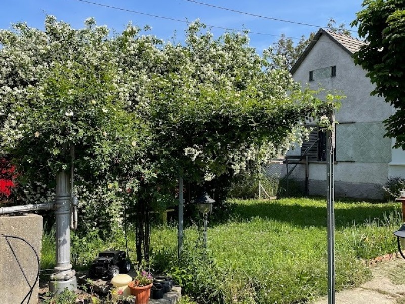 Csibrák Eladó Ház Ady Endre