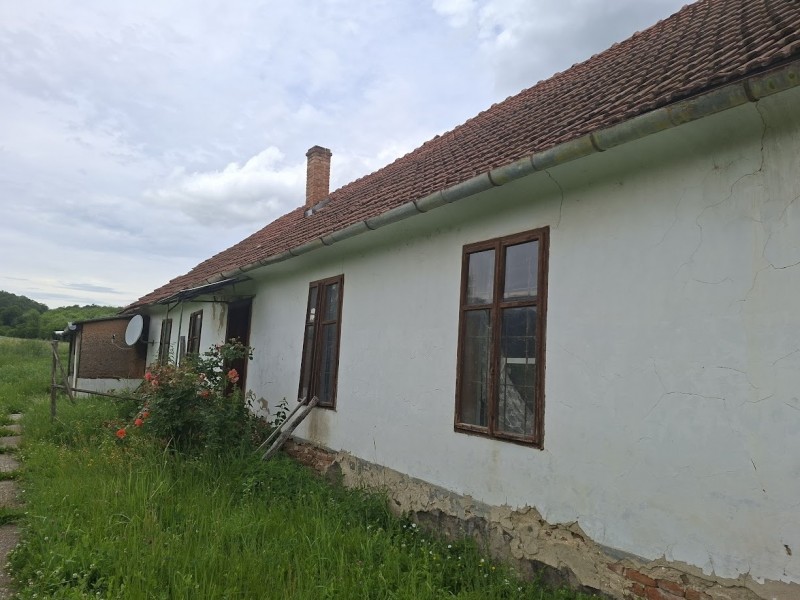 Mindszentgodisa Eladó Ház