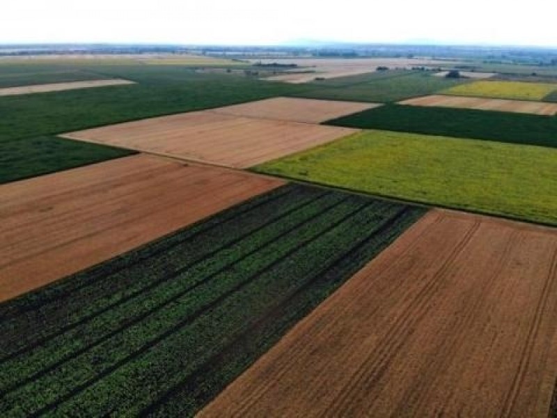 Kunágota Eladó Mezőgazdasági Külterület