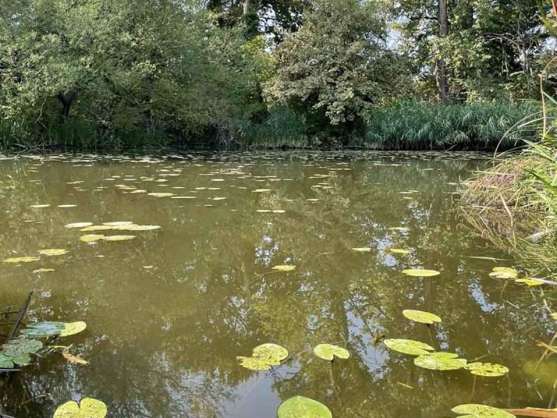 Győr Eladó Nyaraló