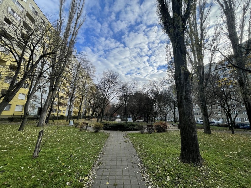 Budapest XI. kerület Eladó Lakás