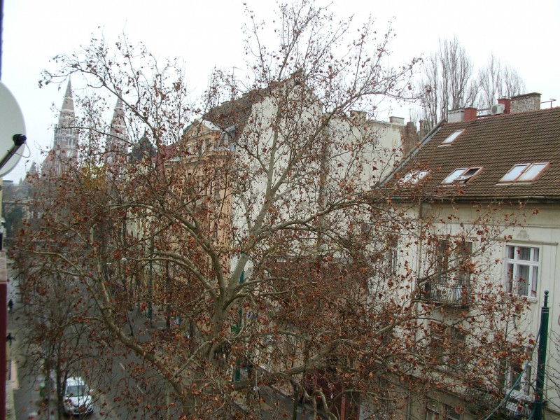 Szeged Kiadó Lakás