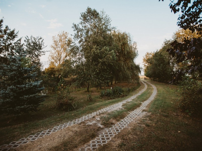 Mórahalom Eladó Mezőgazdasági