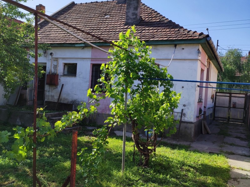 Szeged Eladó Ház Dorozsmai út