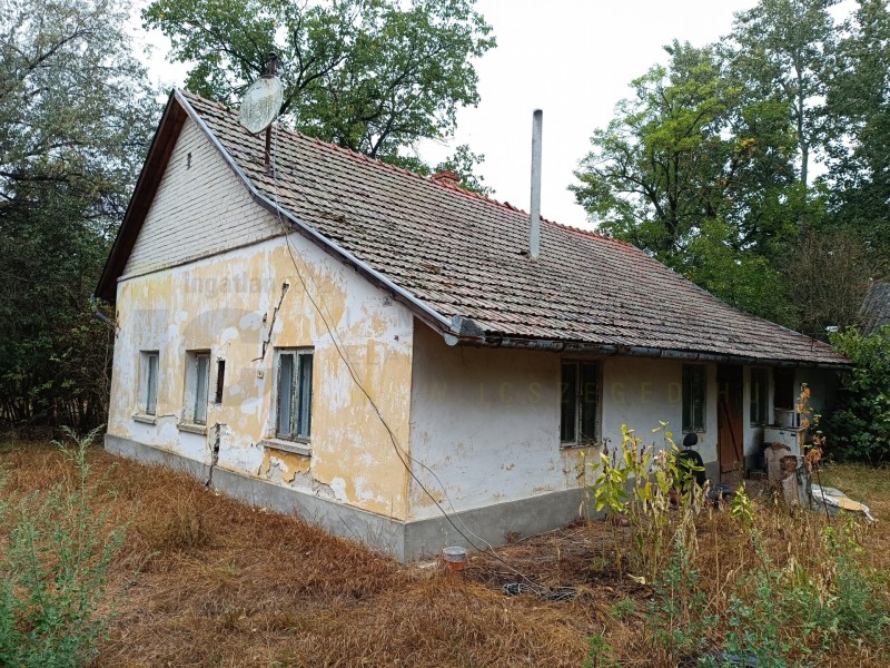 Bordány Eladó Mezőgazdasági Bordány dűló