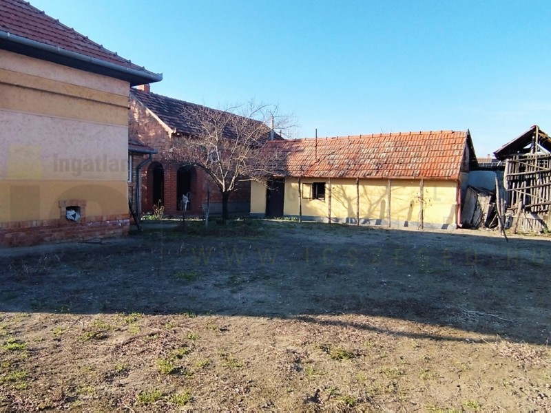 Mórahalom Eladó Ház
