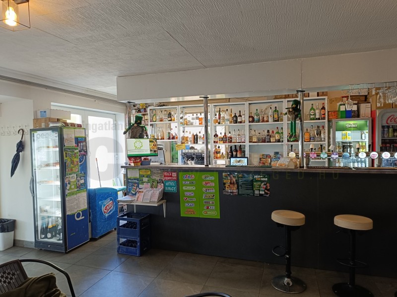 Szeged Eladó Vendéglátás Etelka sor