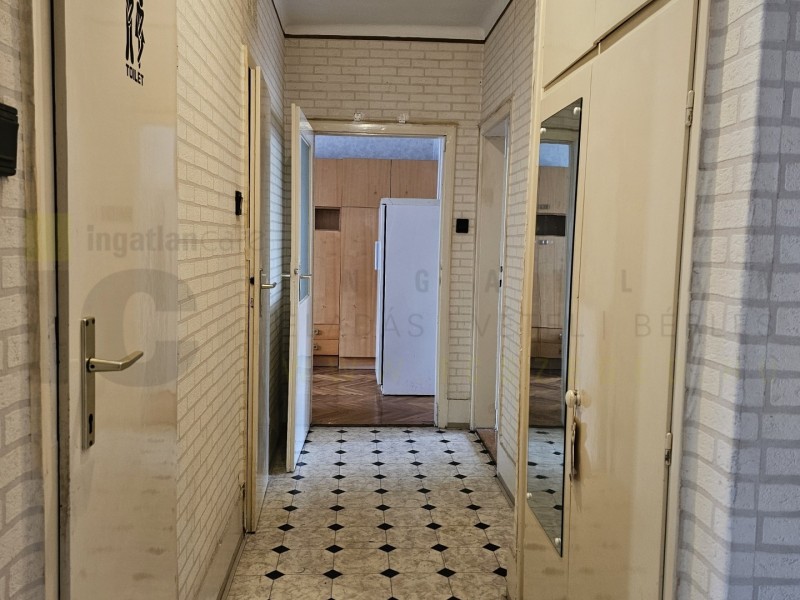 Szeged Kiadó Lakás Bercsényi utca
