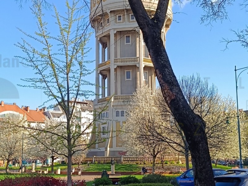 Szeged Kiadó Üzlethelyiség Szent István tér