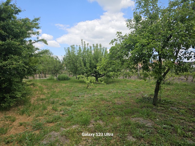Szeged Eladó Ház
