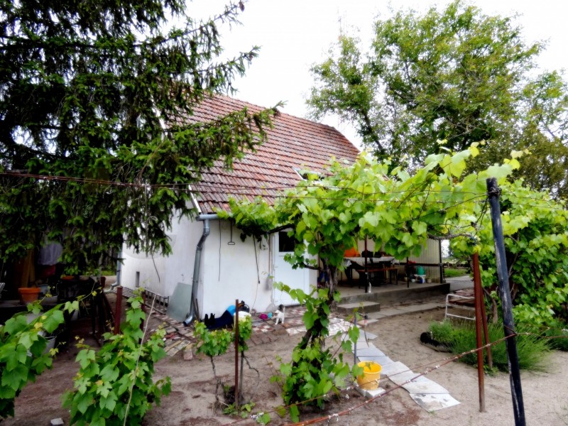 Szeged Eladó Ház Menta utca