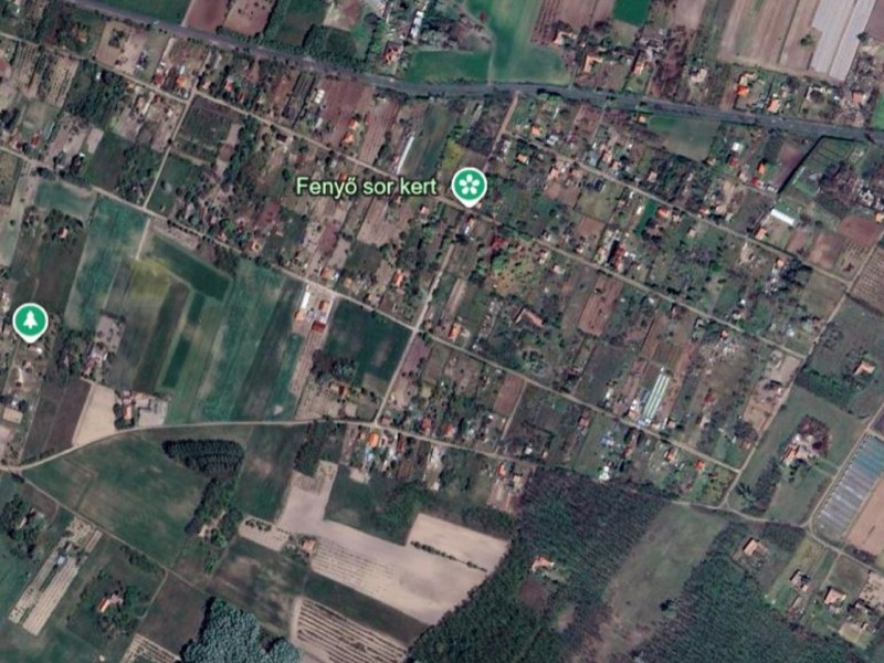 Bordány Eladó Mezőgazdasági