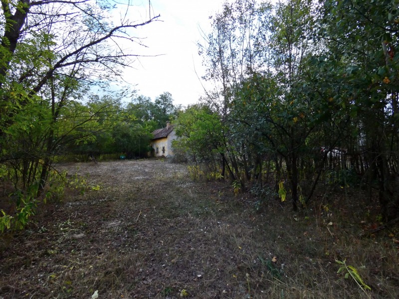 Mórahalom Eladó Mezőgazdasági