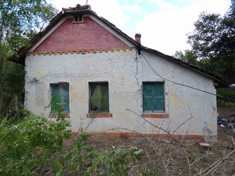 Mórahalom Eladó Mezőgazdasági