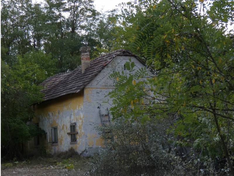 Mórahalom Eladó Mezőgazdasági II ker.