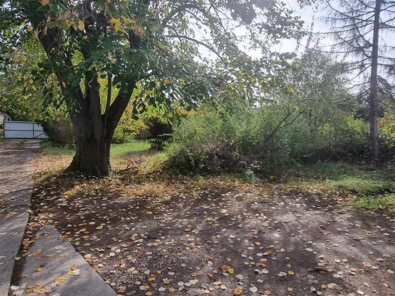 Szeged Kiadó Üzlethelyiség